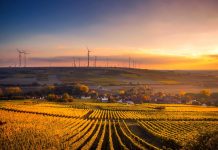 Pomysł na biznes na wsi? Mamy dla Ciebie kilka propozycji!