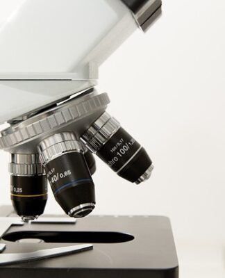 Jak się robi morfologie?