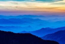 Czy będą zdalne w 2023 roku?