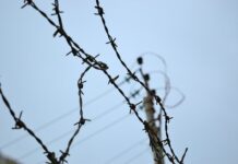 Na czym polega cloud Security?