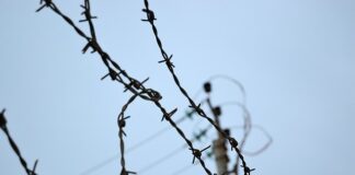 Na czym polega cloud Security?