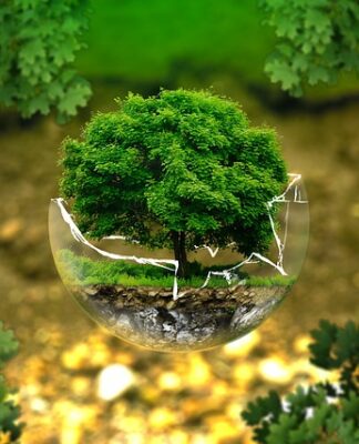 Ile stron ma biologia na czasie 4? Ile stron ma biologia na czasie 4?