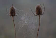 Czy da się nauczyć na sprawdzian w jeden dzień? Czy da się nauczyć na sprawdzian w jeden dzień?