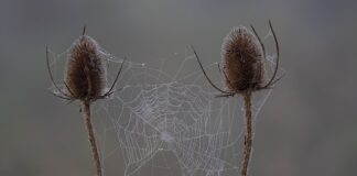 Czy da się nauczyć na sprawdzian w jeden dzień? Czy da się nauczyć na sprawdzian w jeden dzień?