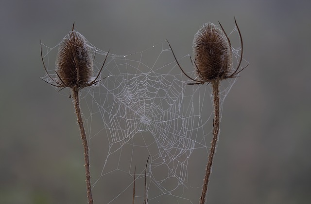 Czy da się nauczyć na sprawdzian w jeden dzień? Czy da się nauczyć na sprawdzian w jeden dzień?