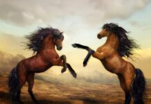 Gdzie jest cyfrowy pieniądz? Gdzie jest cyfrowy pieniądz?