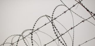 Jak się nie zaplątać w sieci mądrze korzystamy z internetu?