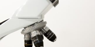 Co to jest morfologia nauka? Co to jest morfologia nauka?