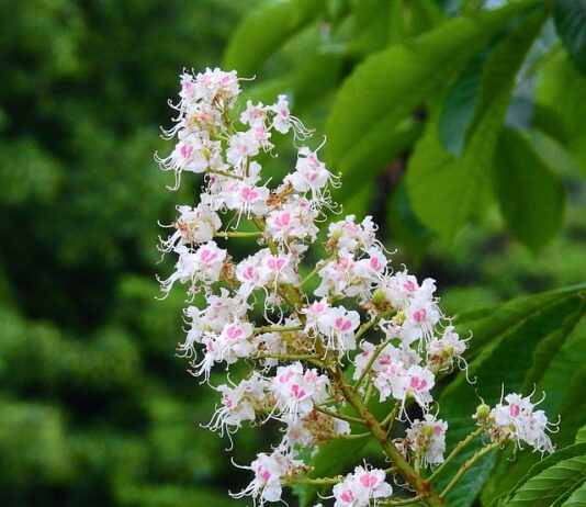Jak zdać maturę na 100%?
