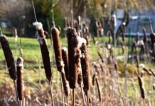 Jak jest po niemiecku WF?