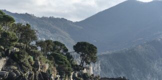 Ile kosztuje baza SQL?