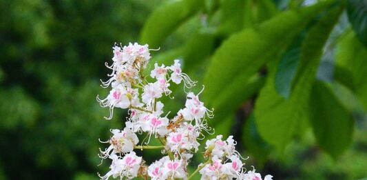 Jak zdać maturę z biologii na 100?