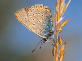 Kto wymyślił słowo Biologia? Kto wymyślił słowo Biologia?