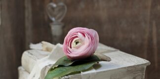 Kto jest zobowiązany do przestrzegania zasad bezpieczeństwa?