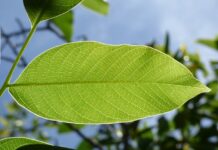 Jakie są konsekwencje naruszenia zasad bhp przez pracownika?