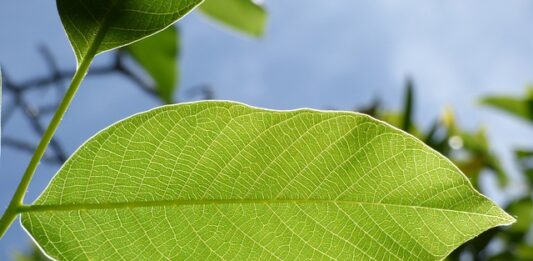 Jakie są konsekwencje naruszenia zasad bhp przez pracownika?