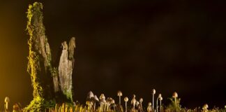 Jakie są rodzaje wypadków przy pracy?