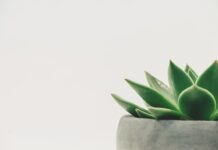 Jaka jest minimalna wplata na Binance?