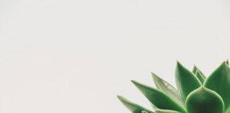 Jaka jest minimalna wplata na Binance?