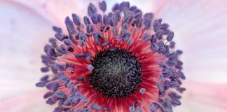 Jak są chronione prawa pracownika?