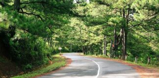 Jak zapłacić za zakupy w internecie?