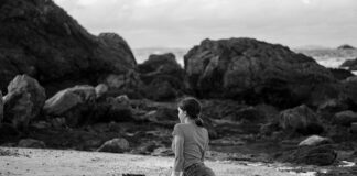 Jak dzielimy organizmy?