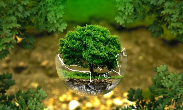 Co to jest system ochrony pracy w Polsce?