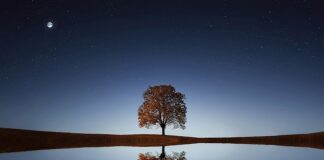 Jak zachować spokój w pracy?