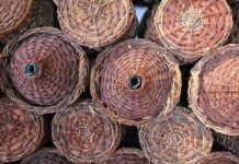 Gdzie najlepiej przechowywać zdjęcia?