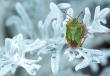 W jakim kraju są tanie gry?