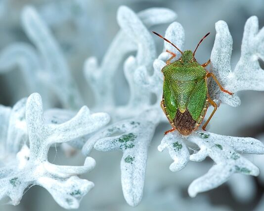 W jakim kraju są tanie gry? W jakim kraju są tanie gry?