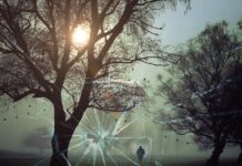 Jakie są kryminalne zagrożenia w sieci?