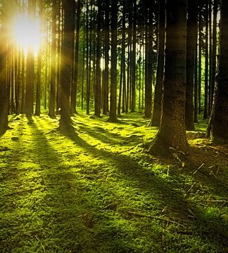 Gdzie stosuje się bazy danych? Gdzie stosuje się bazy danych?