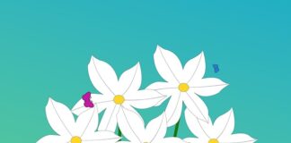 Kiedy wejdzie cyfrowa waluta?