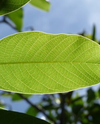 Jakie są konsekwencje ataków Cyberterrorystycznych?