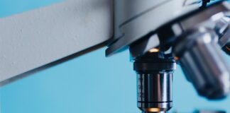 Jakie są rodzaje biotechnologii?