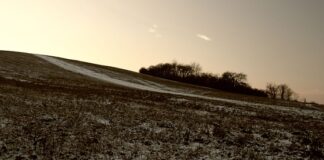 Jakie konta księgowe wchodzą do bilansu?