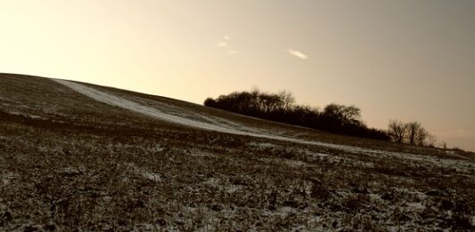 Jakie konta księgowe wchodzą do bilansu?