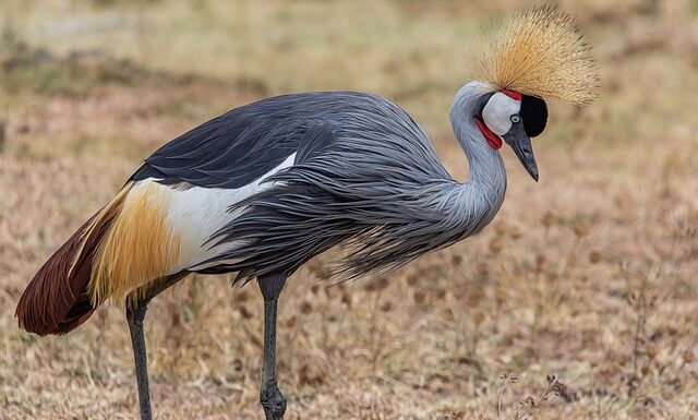 Jakie są cele ochrony pracy? Jakie są cele ochrony pracy?