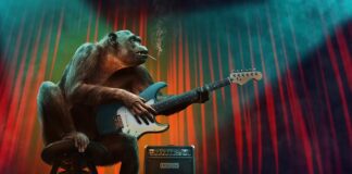 Jakie są etapy badań biologicznych?