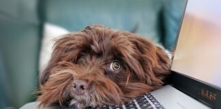 Czego nie wolno robić na informatyce?