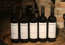 Kto rządzi internetem? Kto rządzi internetem?