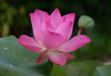 Co to znaczy po angielsku PE? Co to znaczy po angielsku PE?