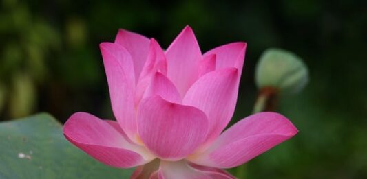 Co to znaczy po angielsku PE? Co to znaczy po angielsku PE?