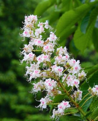 Czy w 2 lata nauczę się do matury? Czy w 2 lata nauczę się do matury?