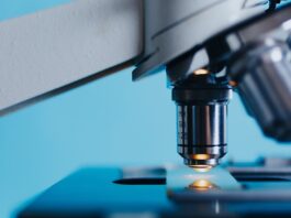 Czy warto iść na biotechnologię? Czy warto iść na biotechnologię?