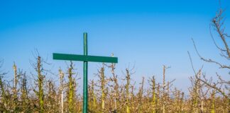 Kto musi tworzyć regulamin pracy zdalnej?