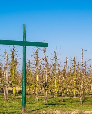 Kto musi tworzyć regulamin pracy zdalnej?