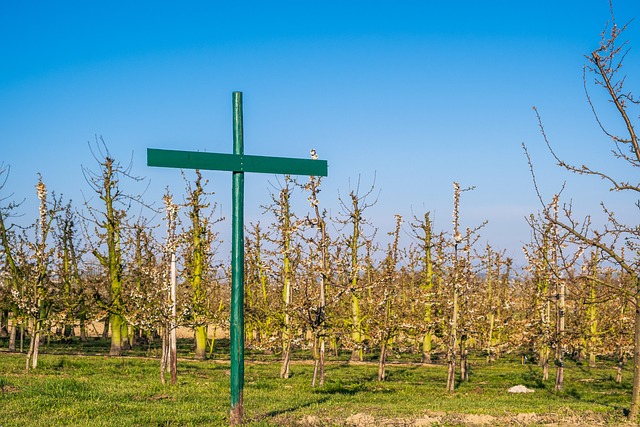Kto musi tworzyć regulamin pracy zdalnej? Kto musi tworzyć regulamin pracy zdalnej?