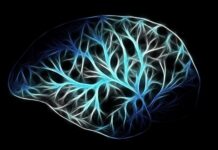 Jaką dziedziną biologii zajmuje się budową i funkcjonowaniem komórek?